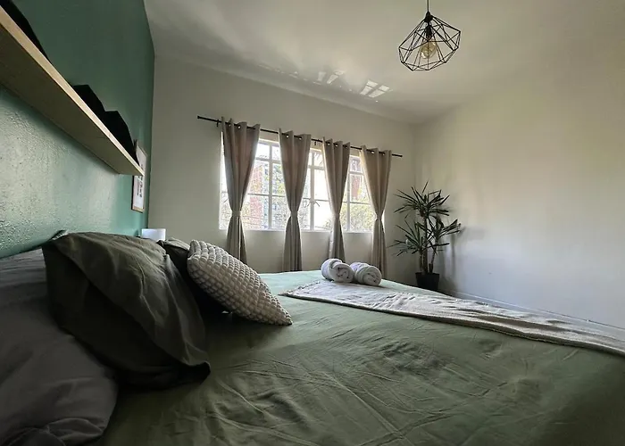 Nuevo , Amplio Y Encantador Departamento En Condesa Apartamento México DF