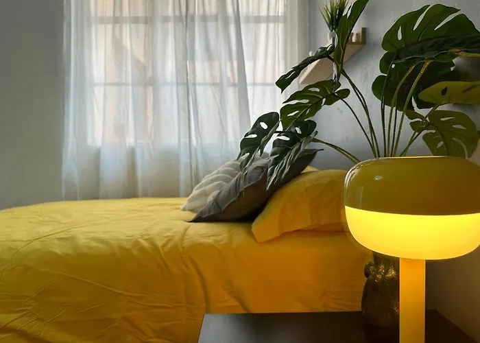 Nuevo , Amplio Y Encantador Departamento En Condesa Apartamento México DF