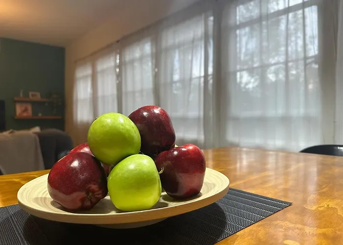 Apartamento Nuevo , Amplio Y Encantador Departamento En Condesa