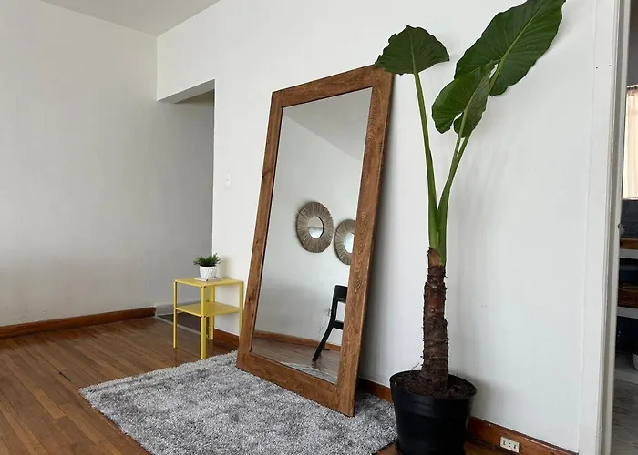 Nuevo , Amplio Y Encantador Departamento En Condesa *